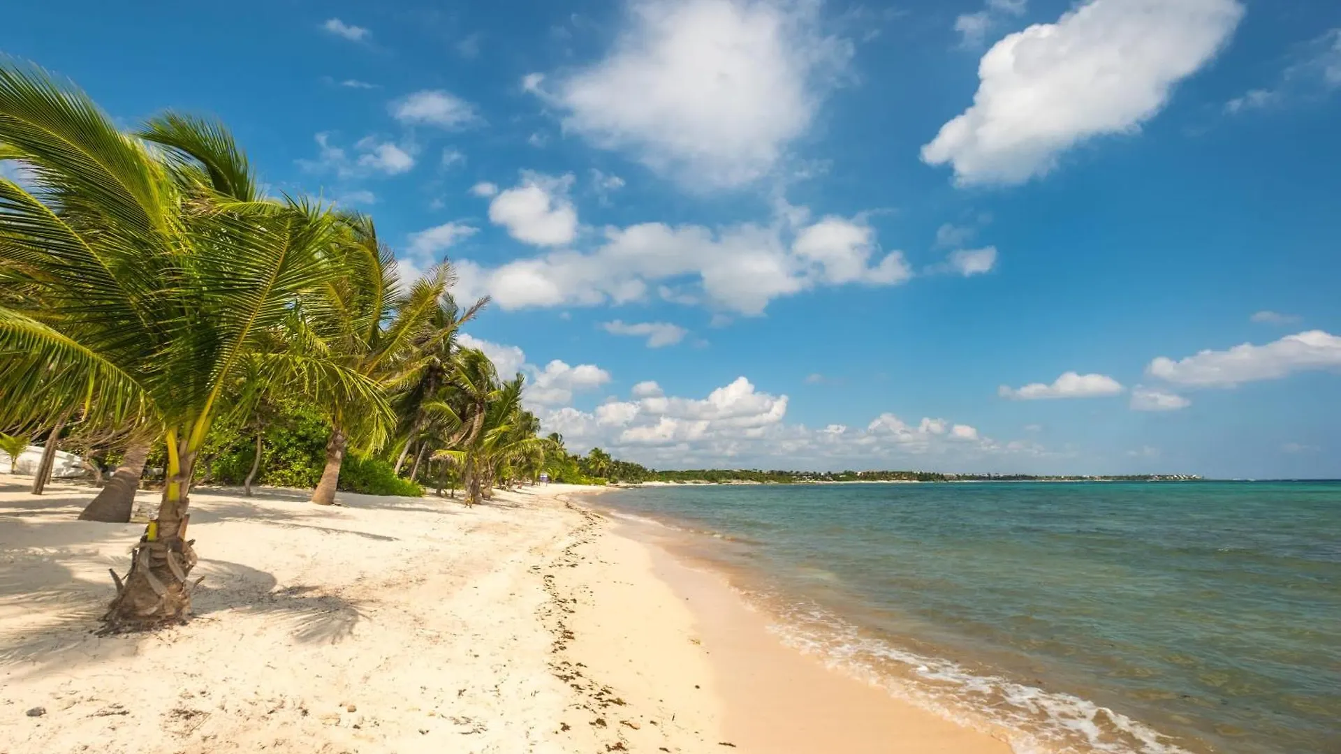 Beachfront With Private Staff In Gated Community Akumal Mexico